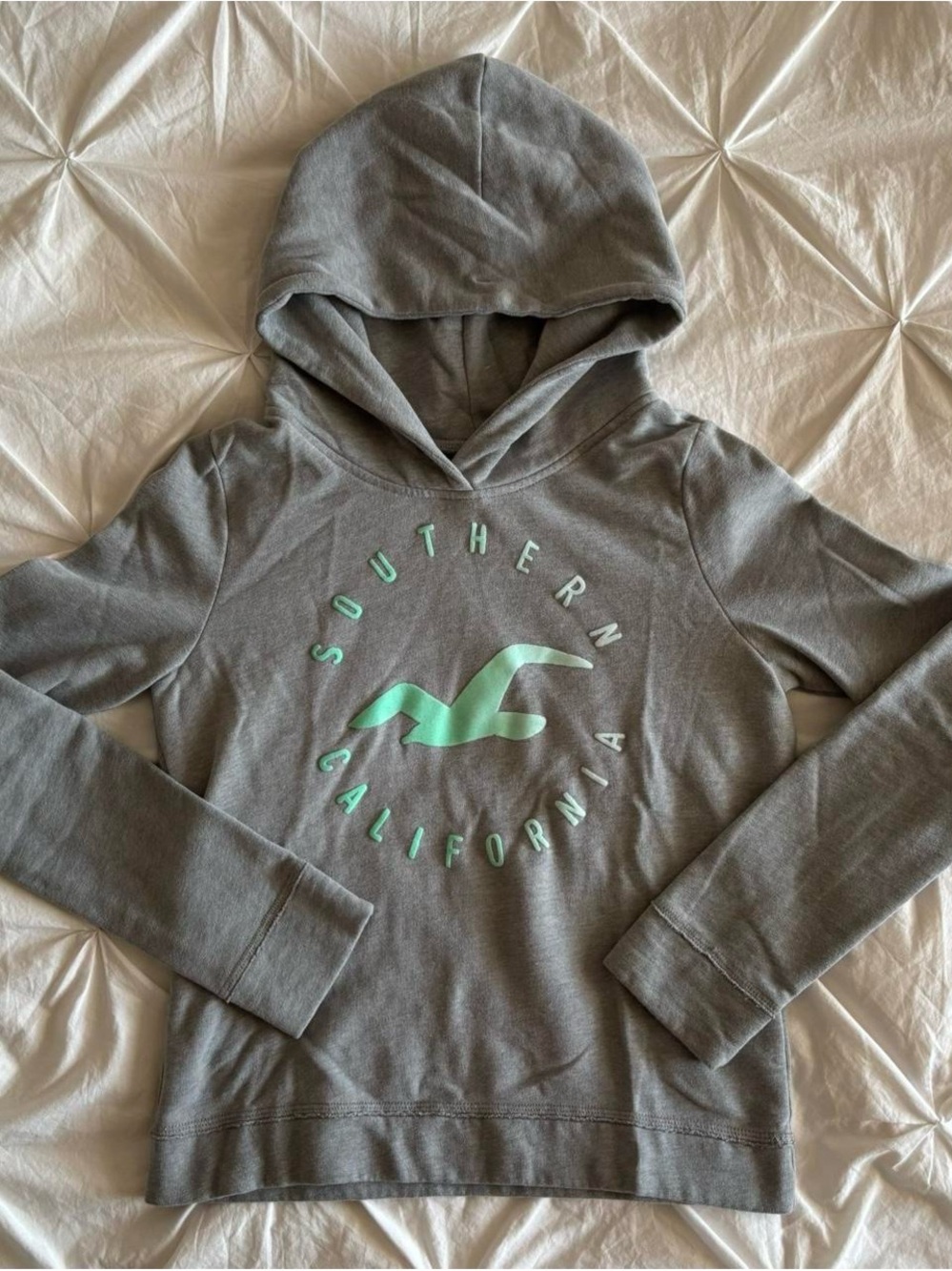 hollister hoodie with logo